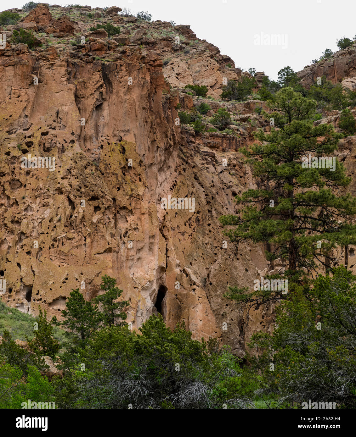 FRIJOLES CANYON Bandelier National Monument Los Alamos nel Nuovo Messico Foto Stock