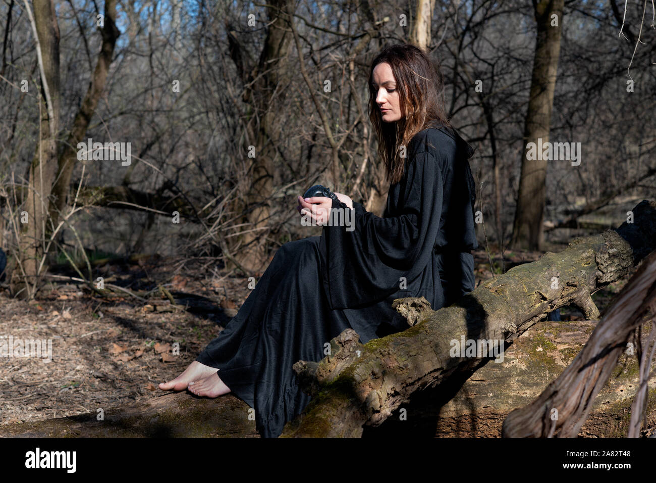 Donna con scuri capelli lunghi in black robes seduto su un tronco di albero nella foresta. Torna al concetto di natura. La stregoneria e magia. Foto Stock
