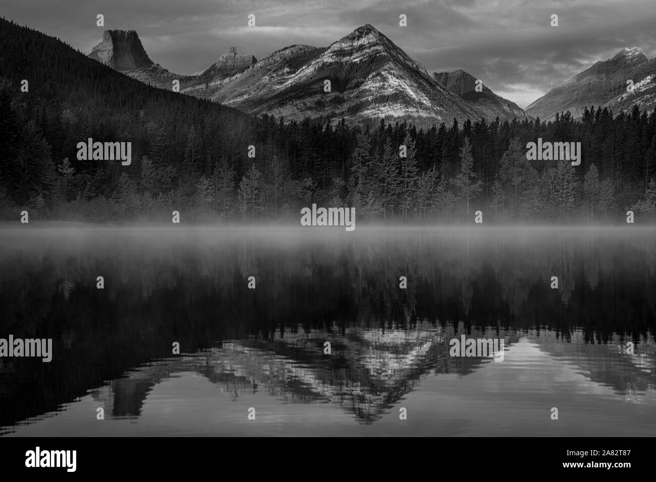 Stagno di cuneo, Kananaskis, Alberta, Canada Foto Stock