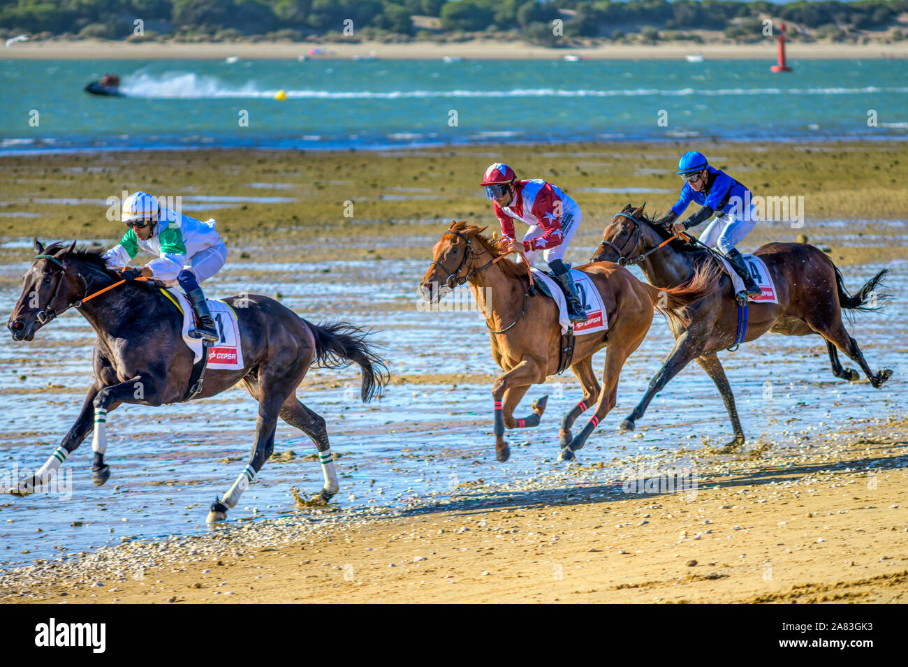 Corsa di cavalli sulla spiaggia, a Sanlucar de Barrameda. Foto Stock