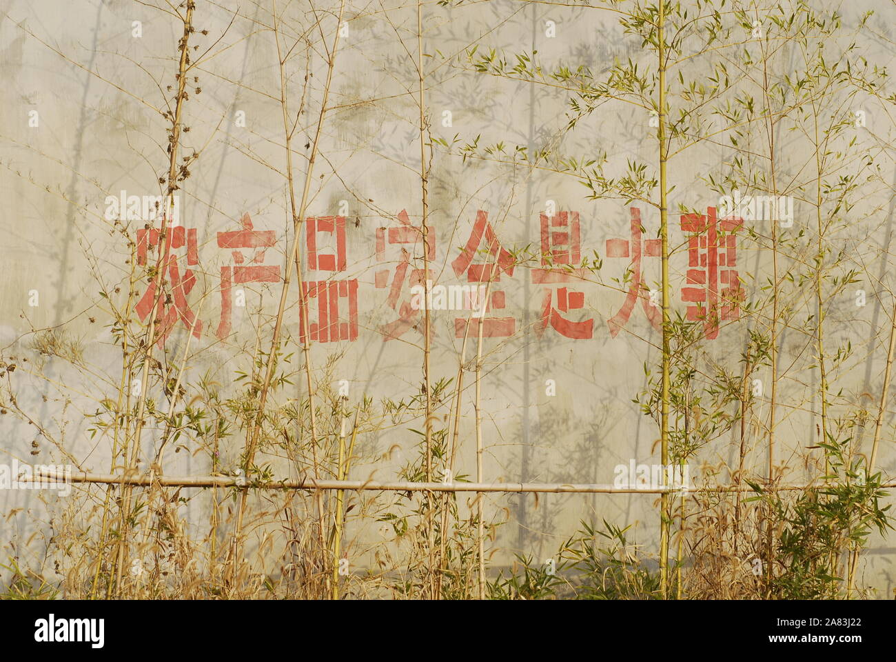 Uno slogan del governo cinese circa la sicurezza vegetale in un villaggio della Cina Foto Stock