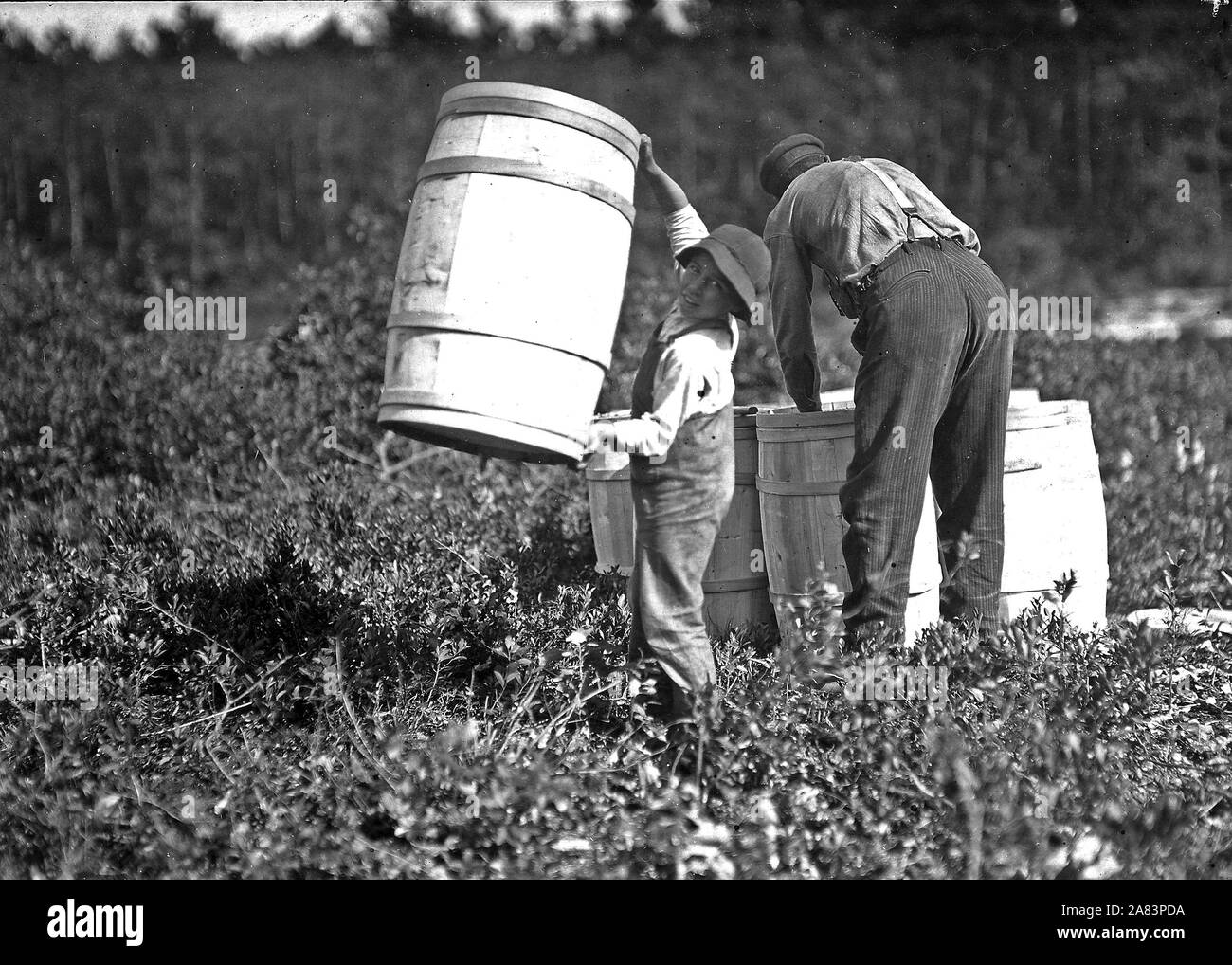 Ragazzo che trasporta barili. Robert Saunders, 10 anni. È il figlio del capo. Madre picks troppo. Falmouth, Massa, 1912 Foto Stock