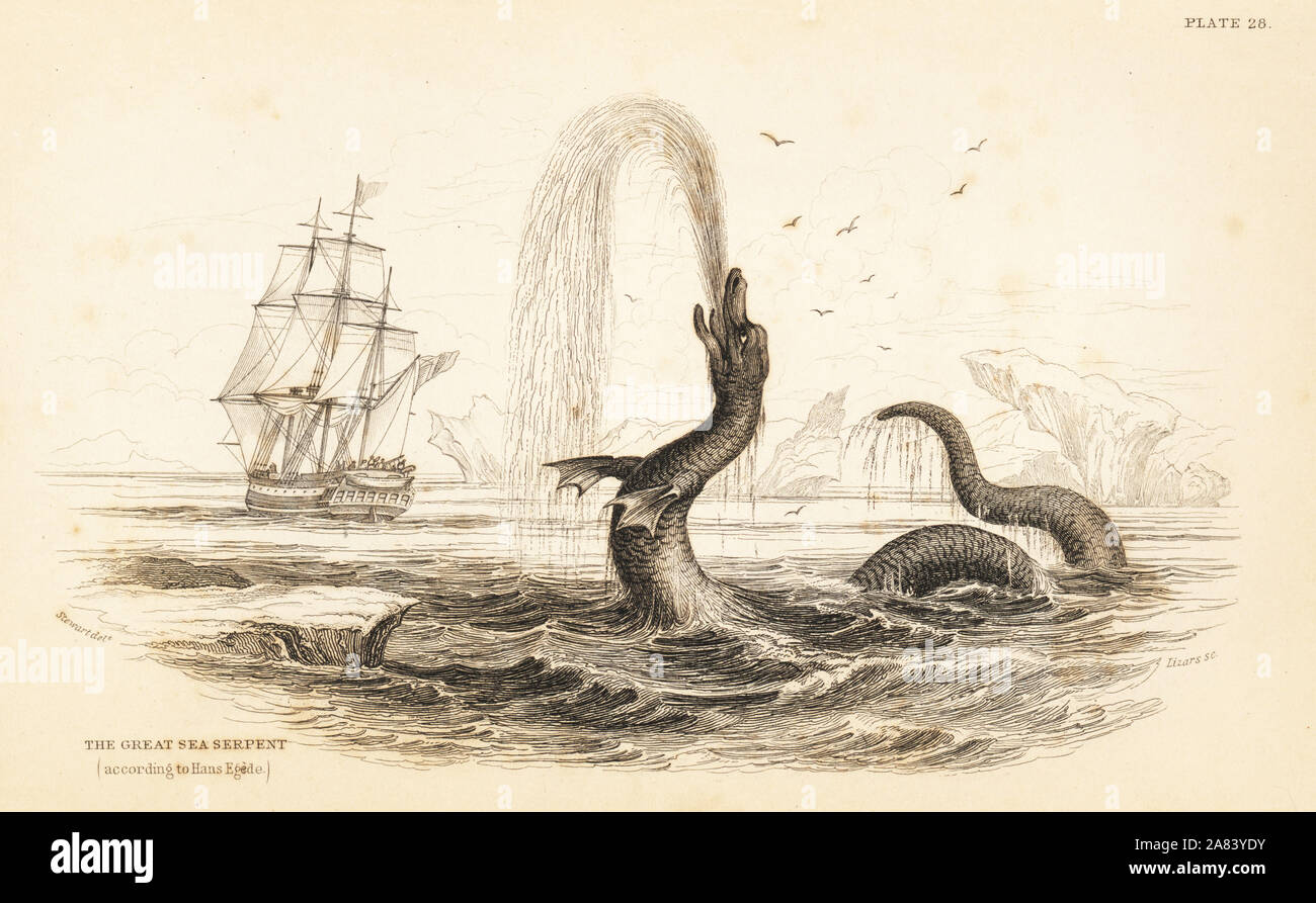 Grande Serpente Marino visto al largo della costa della Groenlandia nel 1734, Scoliophis atlanticus. Da una descrizione di Hans Egede. Incisione in acciaio da W.H. Lizars dopo una illustrazione di James Stewart da Robert Hamilton della Amphibious Carnivora, parte di Sir William Jardine Naturalista dell's Library: Mammalia, Edimburgo, 1839. Foto Stock