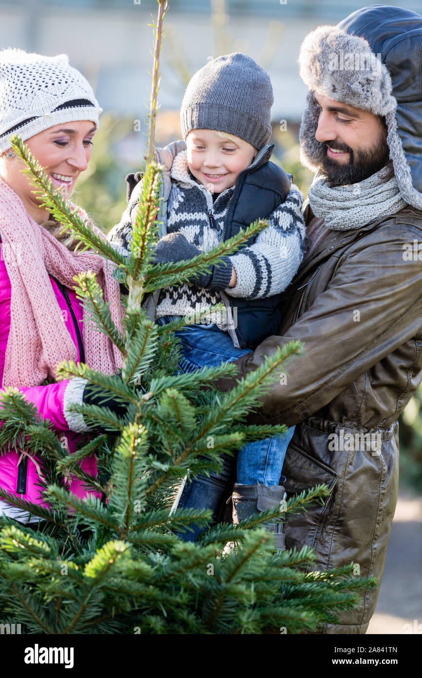 Famiglia Acquisto di albero di Natale sul mercato Foto Stock