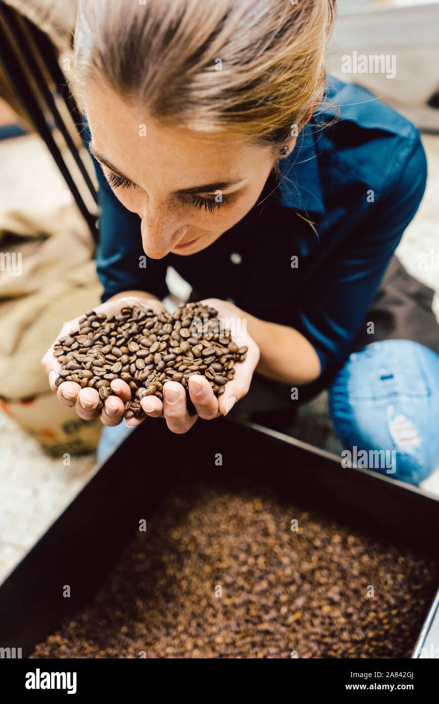 Barista donna test l'aroma del caffè fresco fagioli Foto Stock