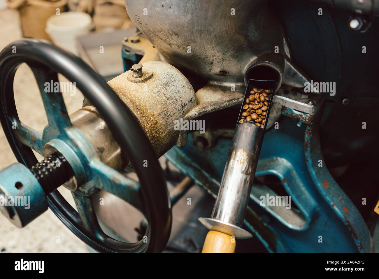 Essendo il campione prelevato del torrefattore Foto Stock