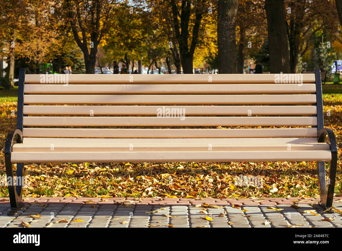 Banco di vuoto nel parco in autunno in una giornata di sole. Singolo banco scanalata all'aperto in giallo caduta delle foglie. Foto Stock