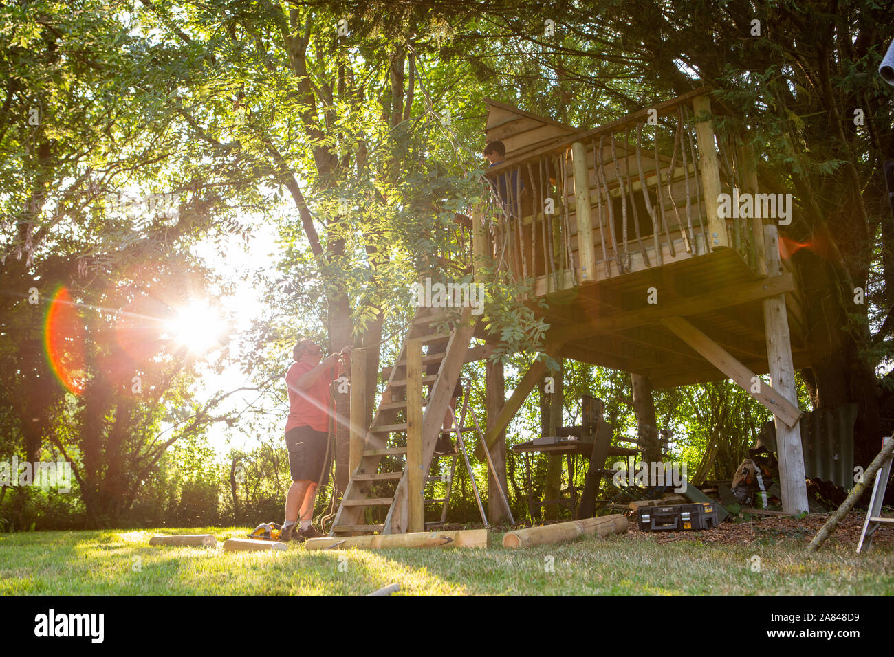 Un uomo che, costruendo il balcone di una treehouse come il sole tramonta attraverso gli alberi dietro di lui. Foto Stock