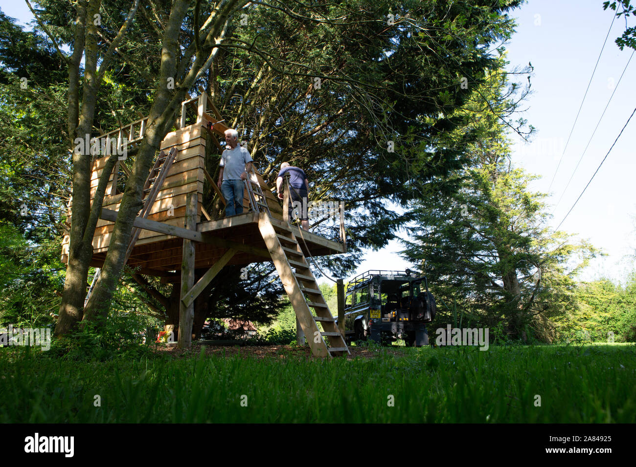 Una famiglia che costruisce una casa sull'albero nel loro giardino, Inghilterra, Regno Unito. Foto Stock