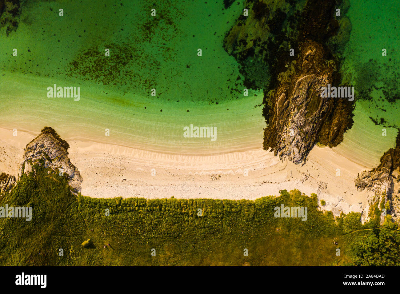 Una scultura di sabbia di tartaruga su una spiaggia sull'Artico isola di Sommarøya nel nord della Norvegia Foto Stock