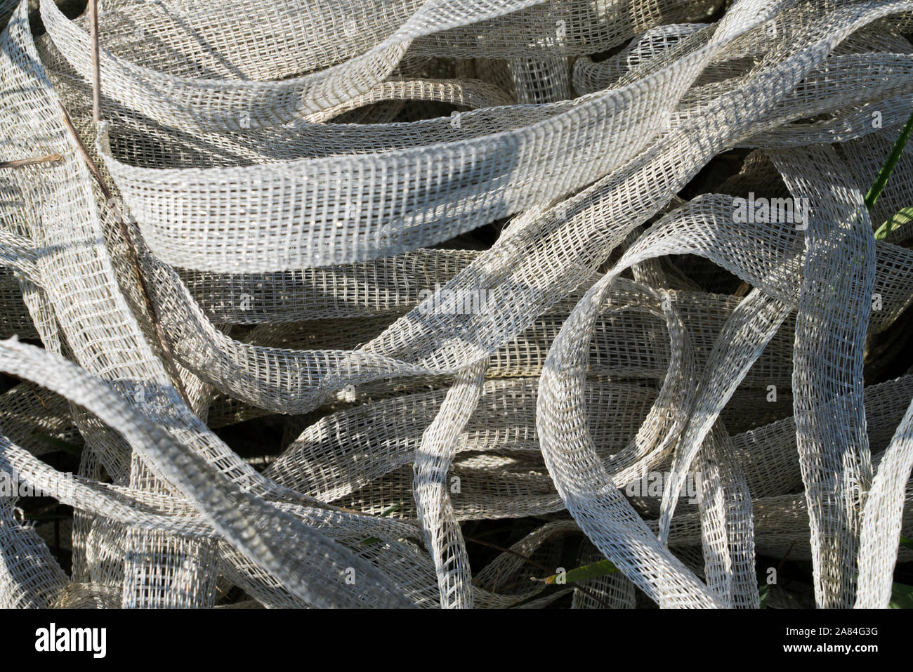 Il vecchio nastro bianco, recinto elettrico Foto Stock