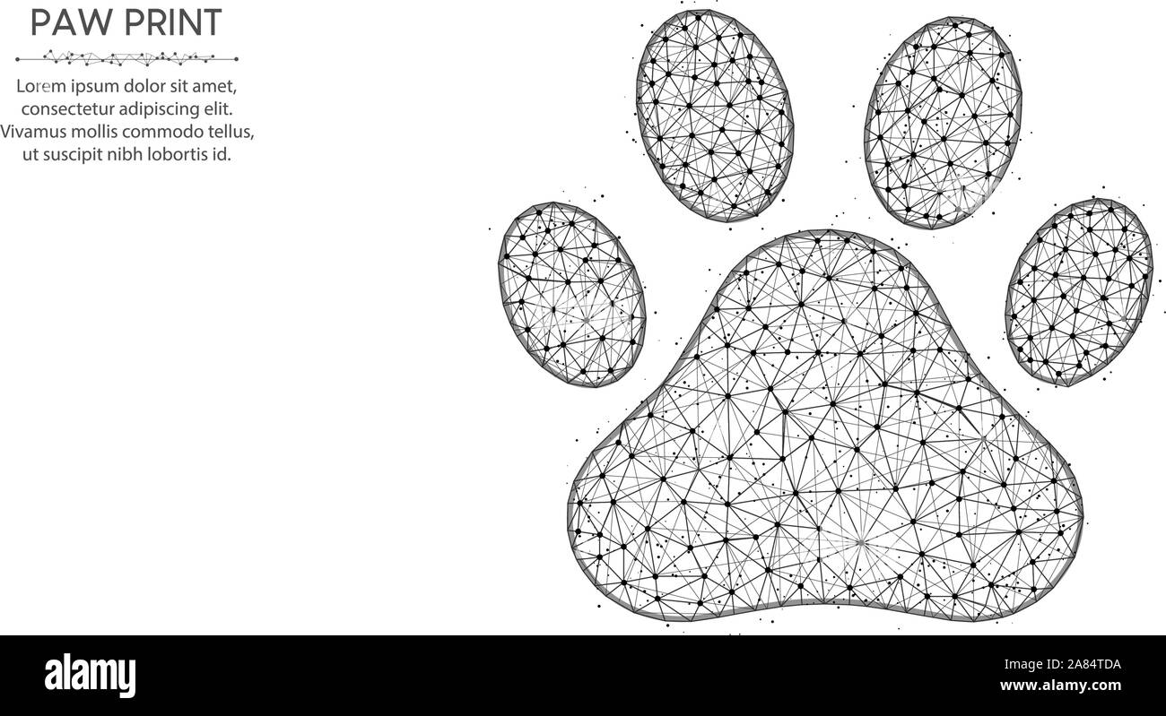 Footprint di PET a bassa poli design, di cane e di gatto zampa animale astratto arte geometrica, zoo wireframe poligonale mesh illustrazione vettoriale costituito da punti e l Illustrazione Vettoriale