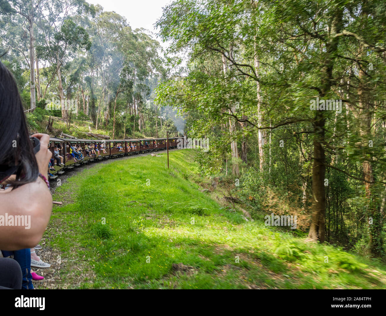 Il Puffing Billy Railway Foto Stock