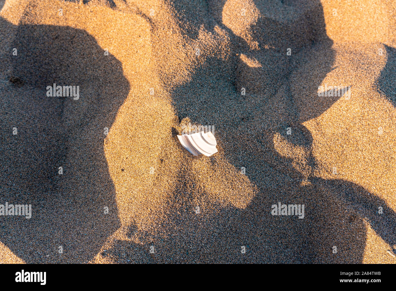 Piccolo pezzo di plastica bianca incorporato nella sabbia di una spiaggia Foto Stock