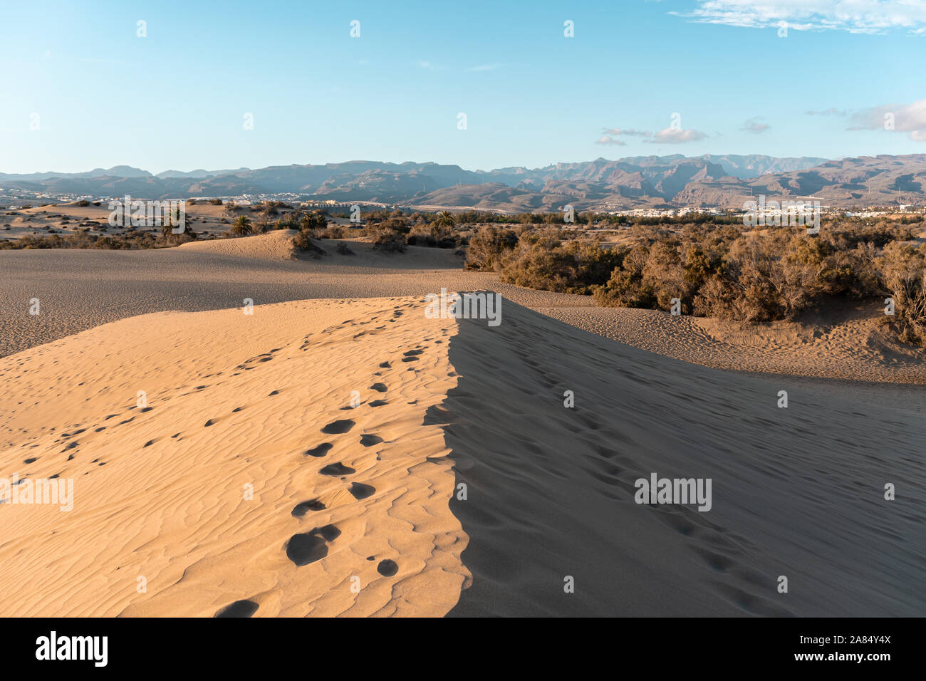 Dune di Maspalomas nella riserva naturale del Gran canaria Foto Stock