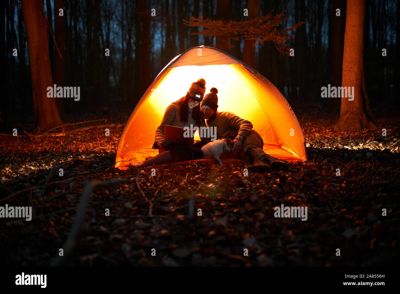 Giovane con tavoletta digitale interno incandescente tenda nel bosco di notte Foto Stock