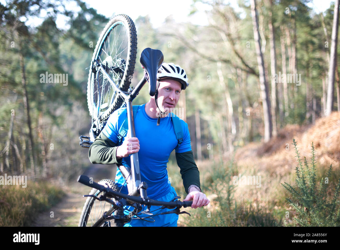 Ciclista maschio che porta bicicletta sul soleggiato sentiero nel bosco Foto Stock