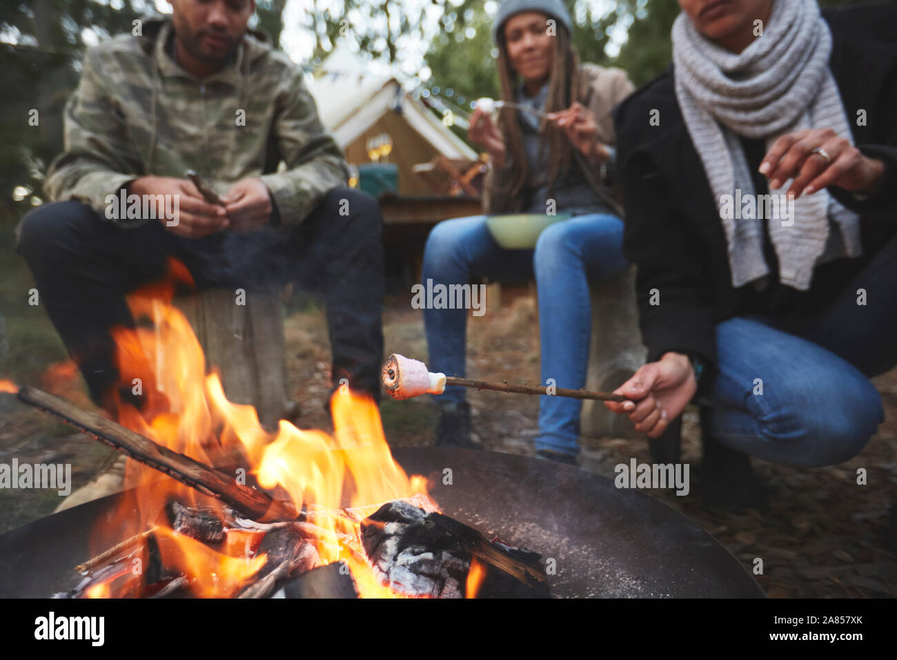Famiglia tostatura di marshmallows al campeggio campfire Foto Stock