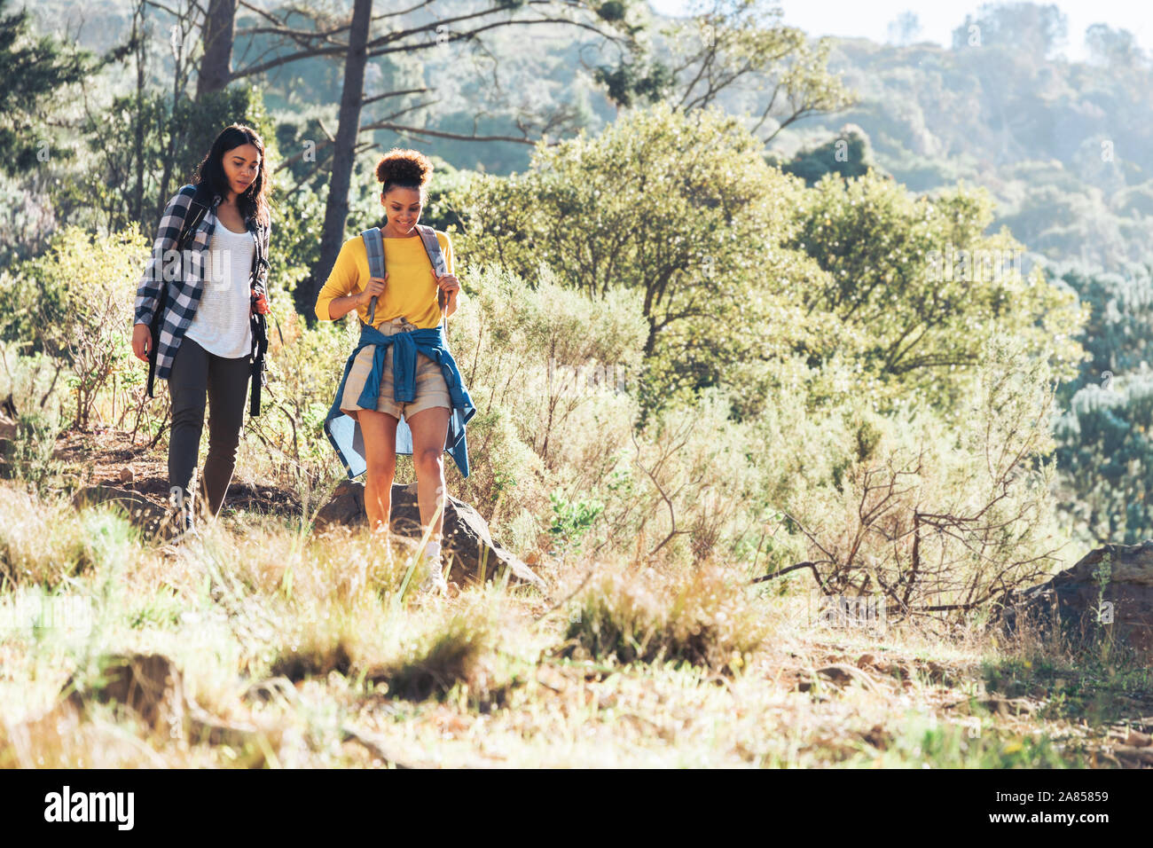 Giovani donne amici escursioni nei boschi di sole Foto Stock