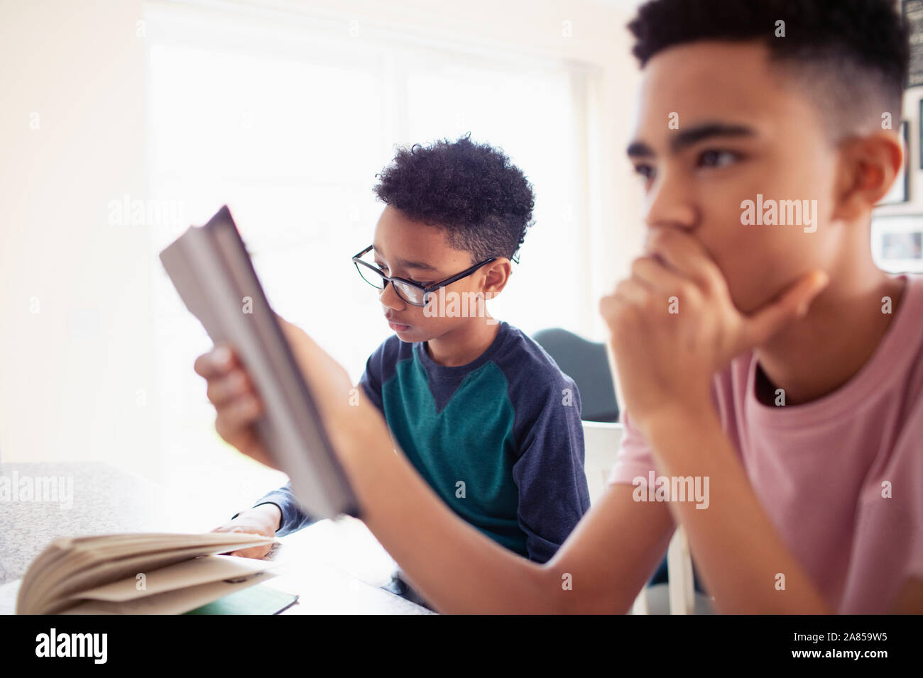 Ragazzi adolescenti facendo i compiti di scuola Foto Stock