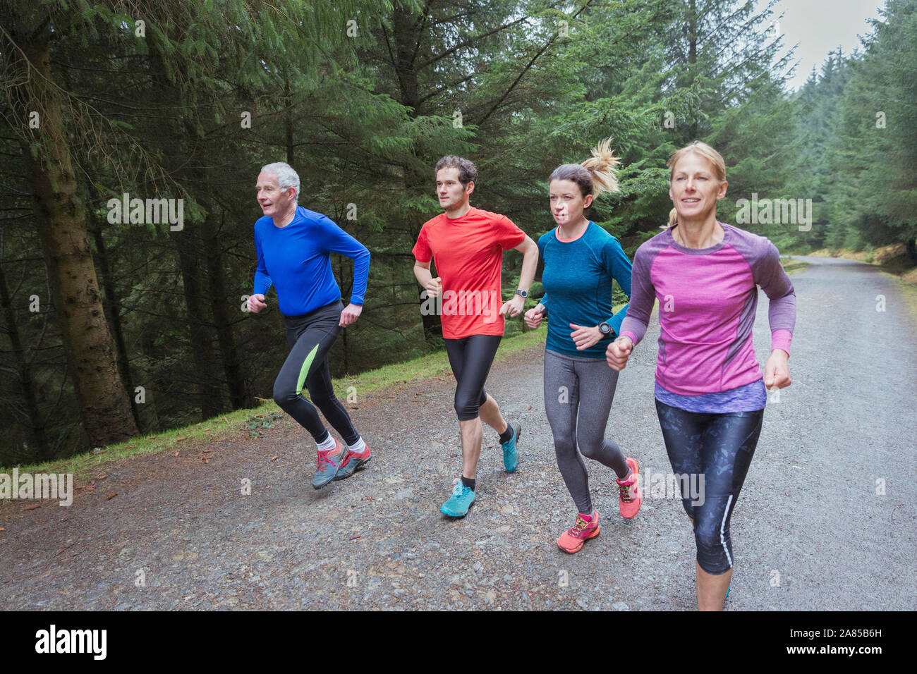 Famiglia di jogging sul sentiero nel bosco Foto Stock