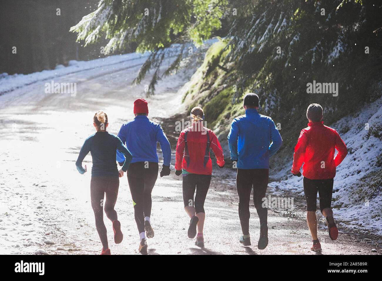 Famiglia jogging sul sentiero nella soleggiata, boschi innevati Foto Stock