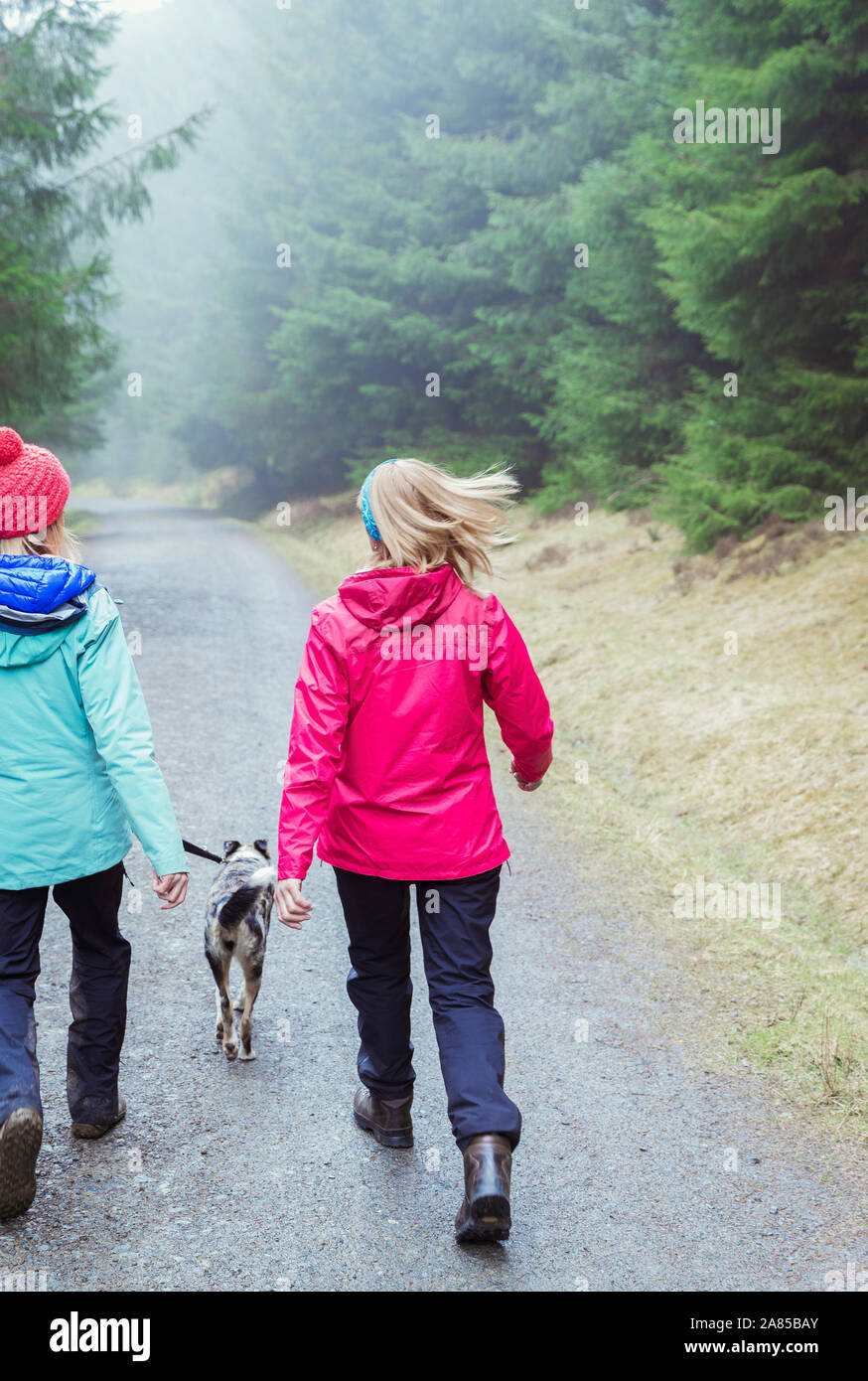 Le donne con cane escursioni sul sentiero nel bosco di pioggia Foto Stock