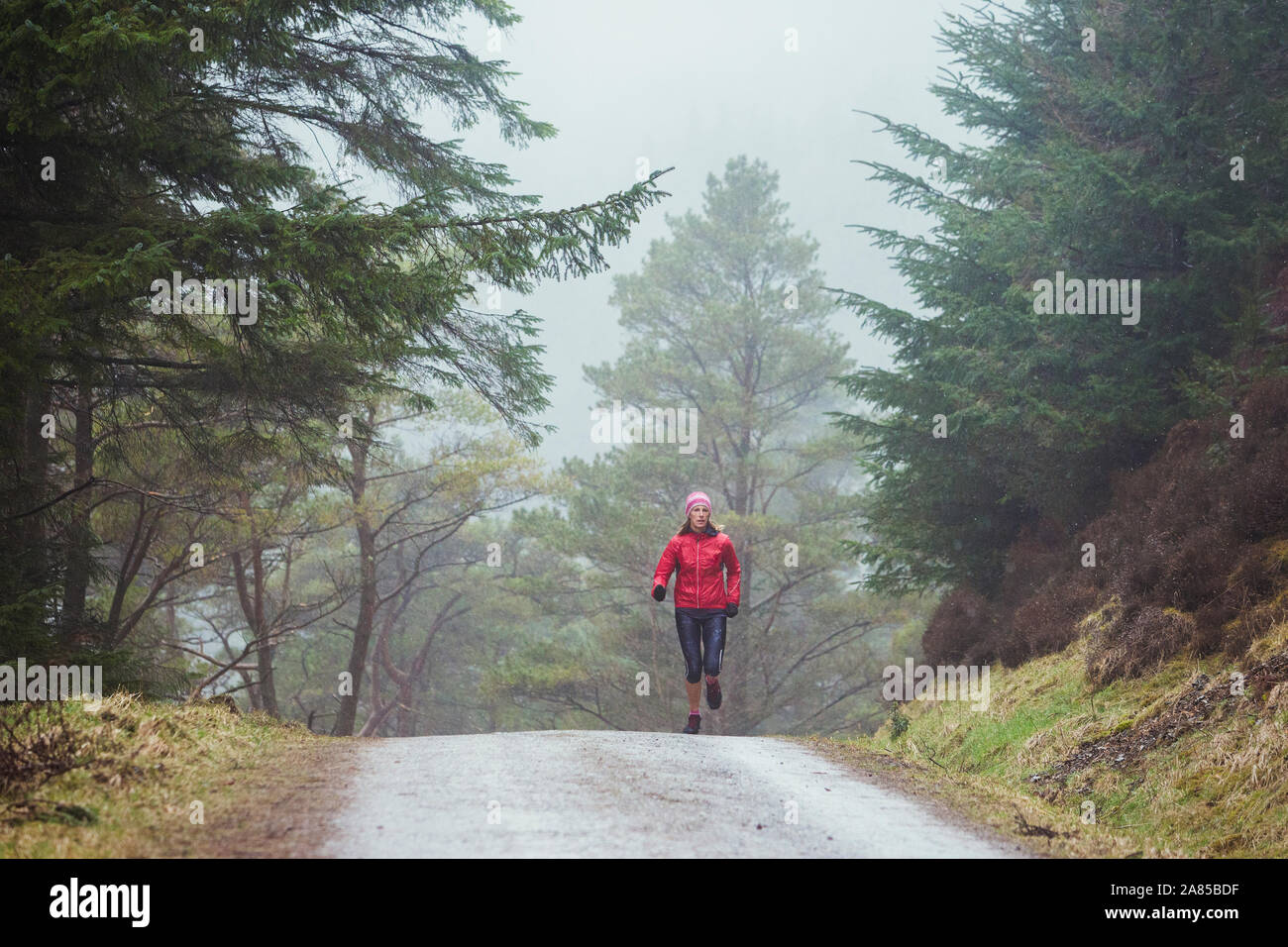 Donna escursionismo sentiero nel bosco immagini e fotografie stock ad ...
