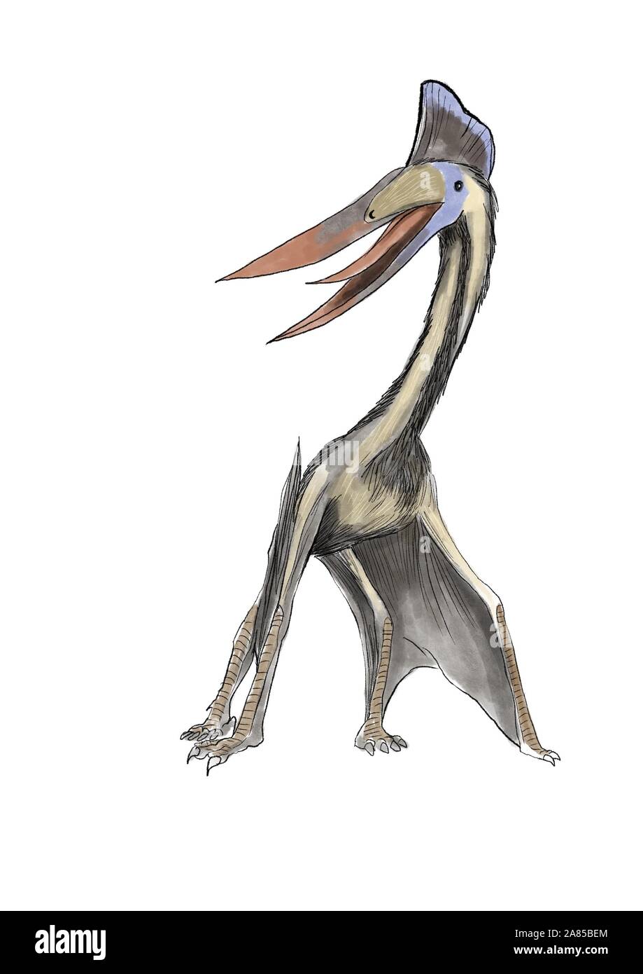 Illustrazione Hatzegopteryx Foto Stock