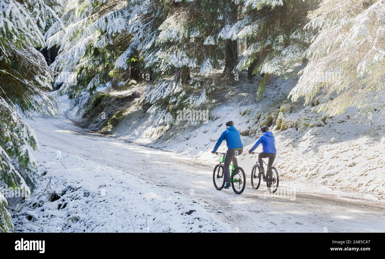 Matura in mountain bike sul telecomando, sentiero innevato nei boschi Foto Stock