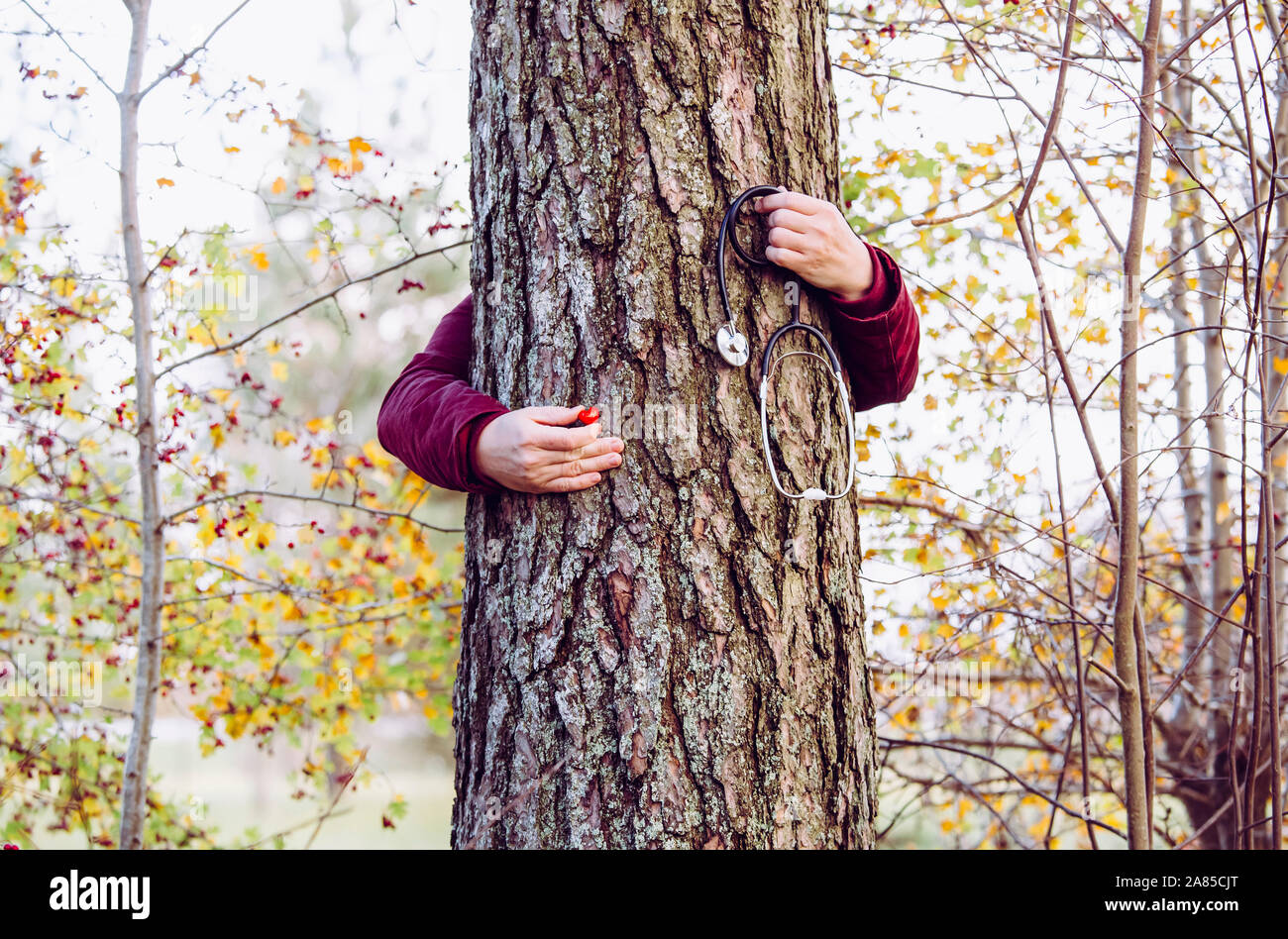 Stato sanitario delle foreste o la natura di guarigione concetto di persona. Donna mani attorno a pino tronco e azienda medical stetoscopio e piccolo cuore rosso figurin Foto Stock