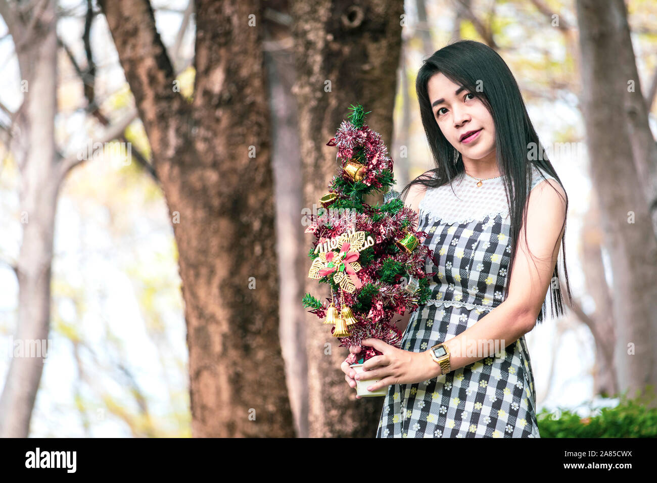 Giovane donna bella mano azienda piccola chistmas tree. Buon Natale e Buone Feste concetto. Foto Stock