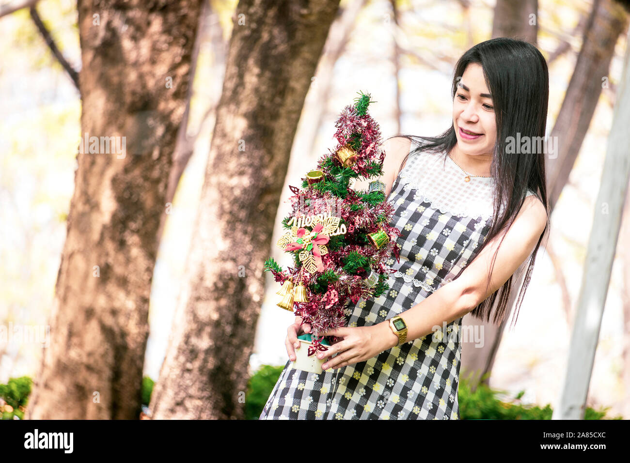 Giovane donna bella mano azienda piccola chistmas tree. Buon Natale e Buone Feste concetto. Foto Stock