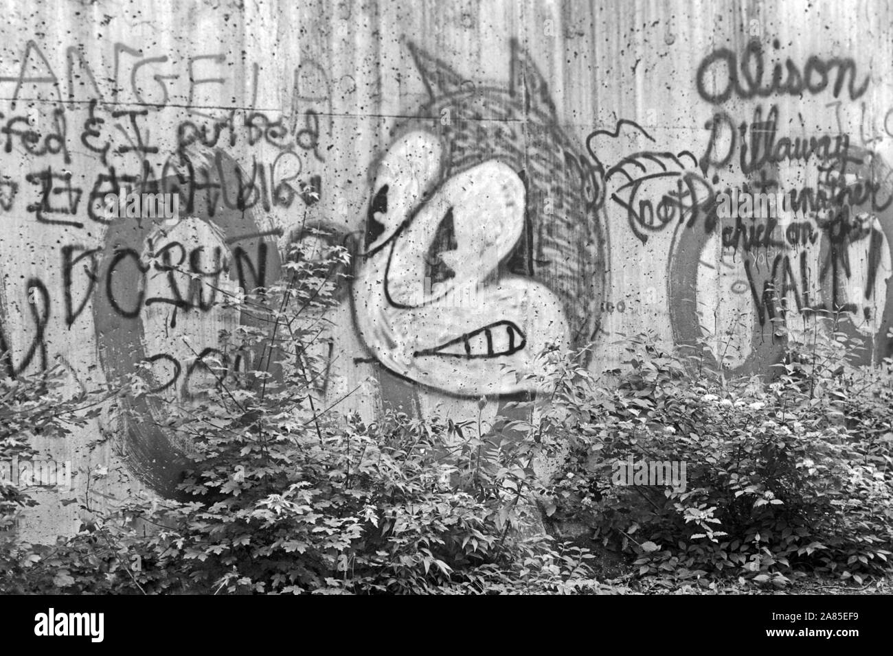 Graffiti an der Berliner Mauer, Deutschland 1984. Il muro di Berlino decorato con graffiti, Germania 1984. Foto Stock