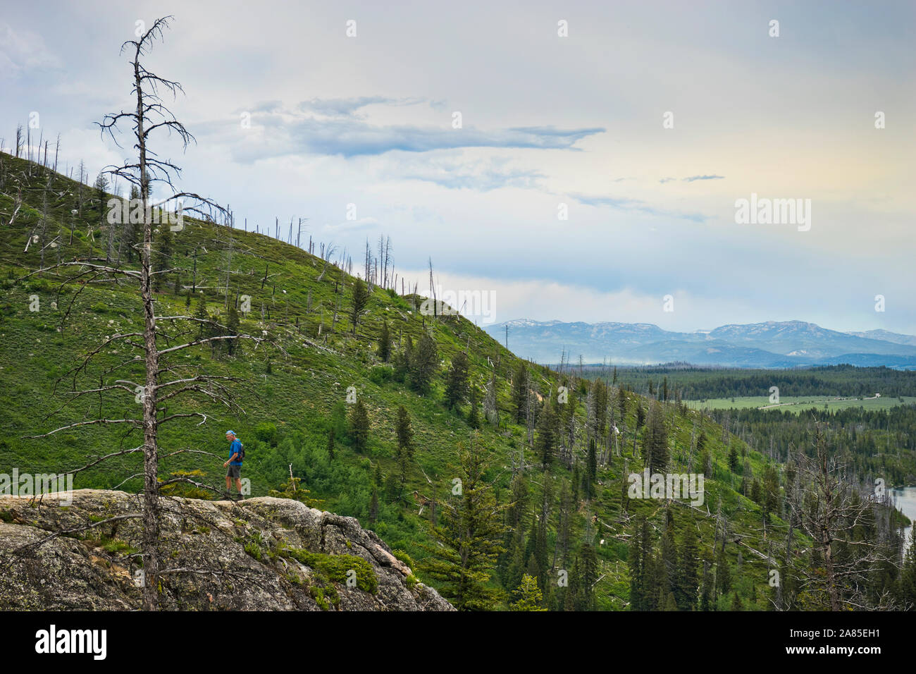 Uomo che passeggia sulla cima della montagna, la cascata di Canyon, il Parco Nazionale del Grand Teton Foto Stock