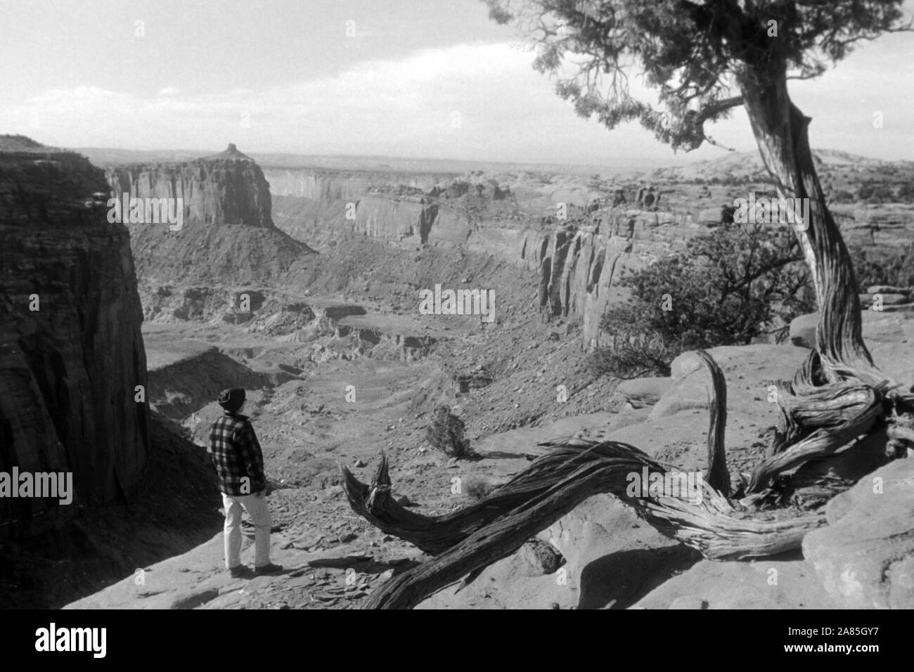 Landschaft in Utah, il Parco Nazionale di Canyonlands, 1960er. Paesaggio in Utah, il Parco Nazionale di Canyonlands, 1960s. Foto Stock