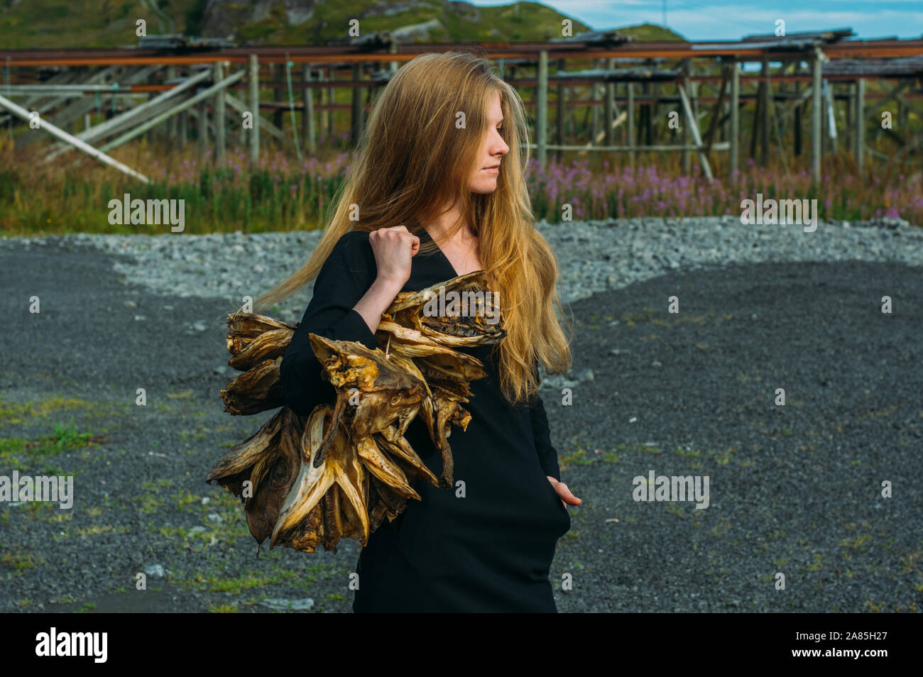 Ragazza in abito nero con fascio di pesci secchi teste, Isole Lofoten in Norvegia Foto Stock