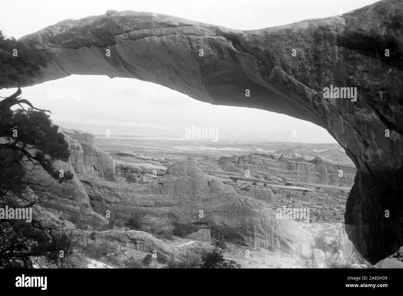 Rückansicht von Landscape Arch in Utah, il Parco Nazionale di Arches, 1960er. Vista posteriore Landscape Arch in Utah, il Parco Nazionale di Arches, 1960s. Foto Stock