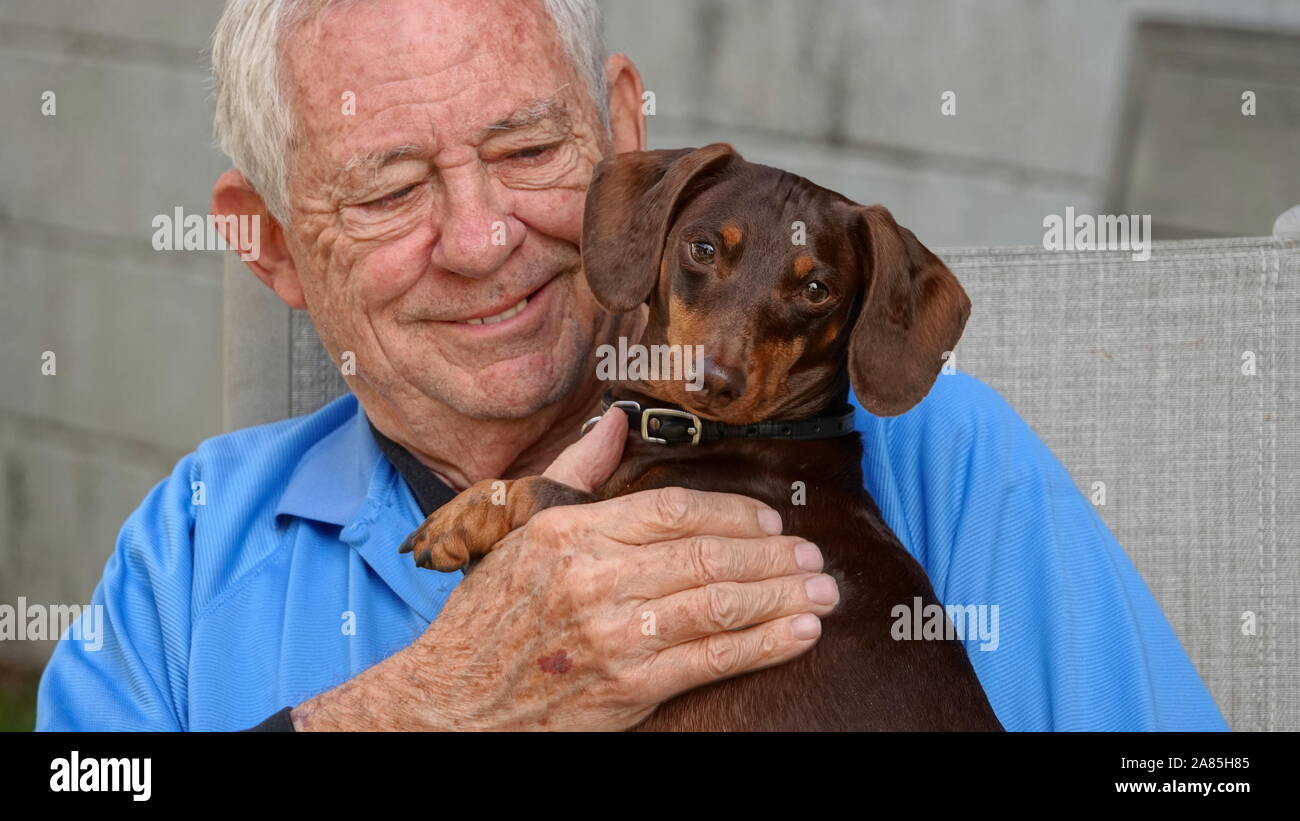 Close-up di un felice e sorridente uomo senior (80 anno vecchio Caucasica) tenendo il suo simpatico cagnolino Foto Stock
