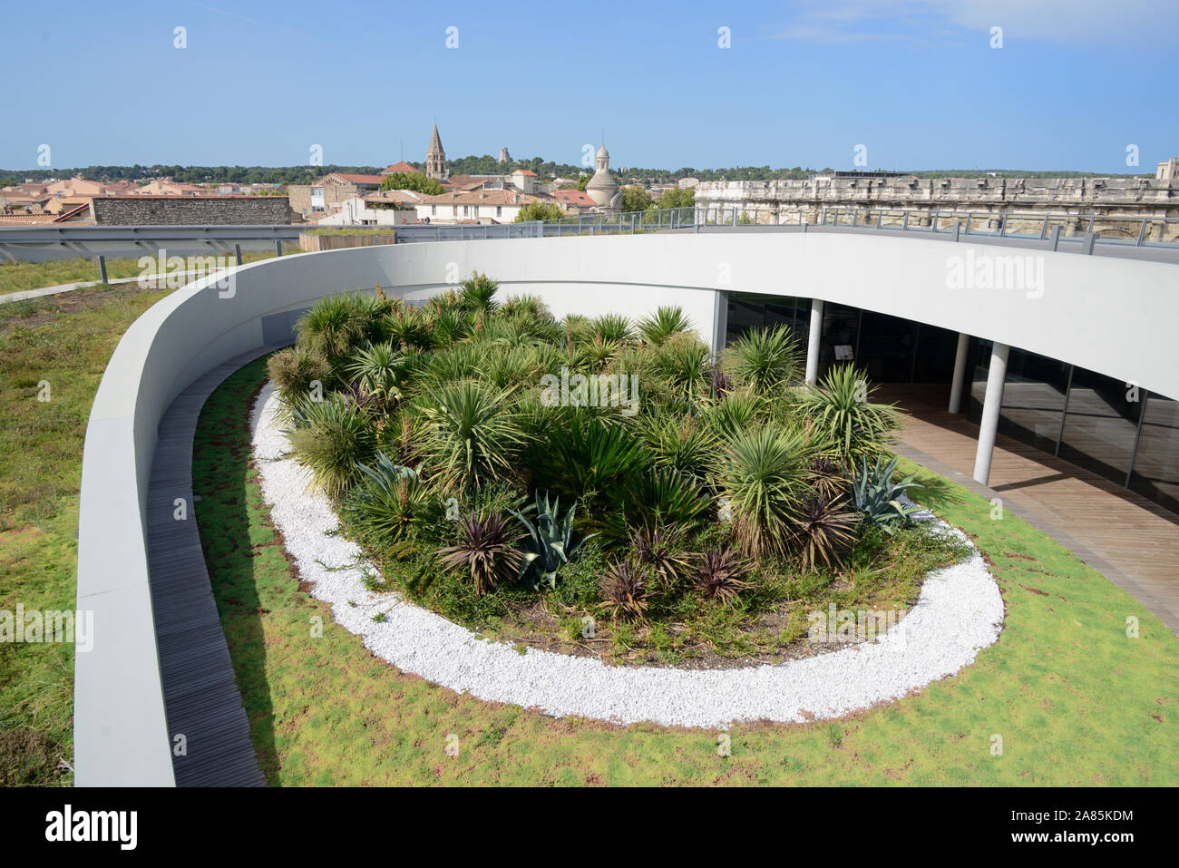 Vista del moderno Roof Garden, a forma di anfiteatro romano, del Musée de la Romanité, o Museo Romano, (2018) e Yucca piante Nimes Francia Foto Stock