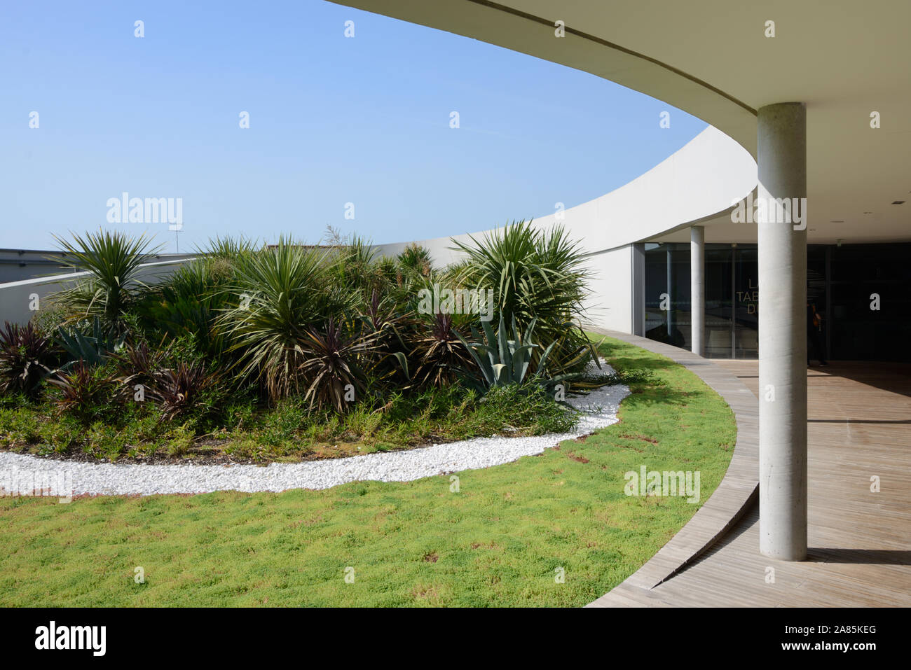 Modernista giardino sul tetto o moderno giardino sul tetto del Musée de la Romanité, o archeologia romana Museum (2018) da Elizabeth de Portzamparc Nimes Francia Foto Stock