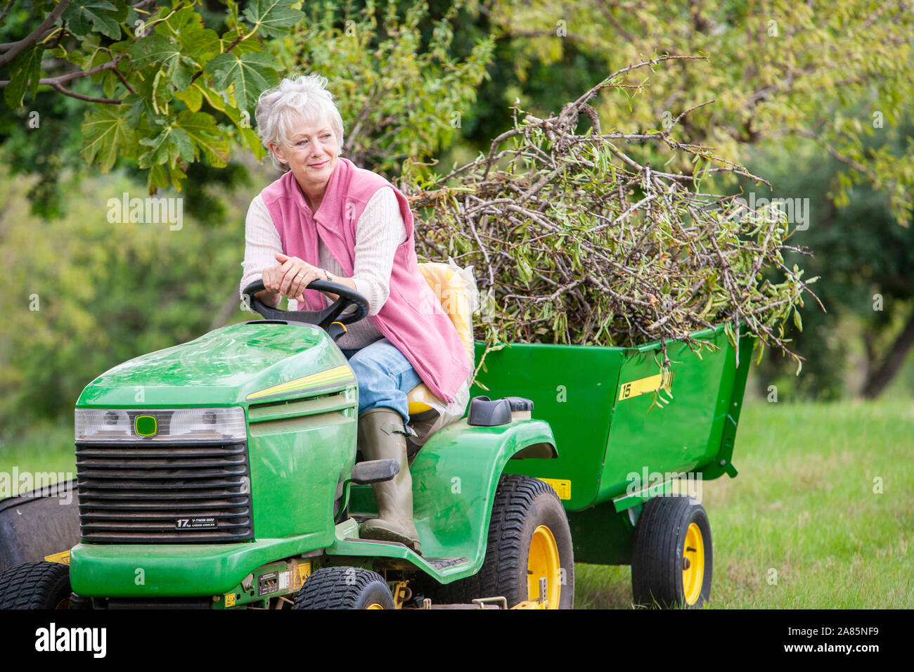 Senior donna alla guida di un trattore domestico Foto Stock