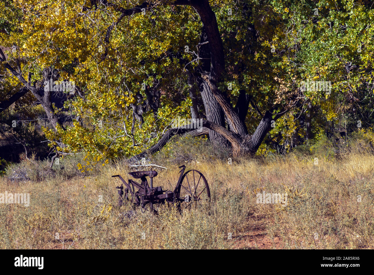 Vecchio metallo rustico dell'attrezzo agricolo in Fruita distretto di Capital Reef National Park nello Utah. Foto Stock