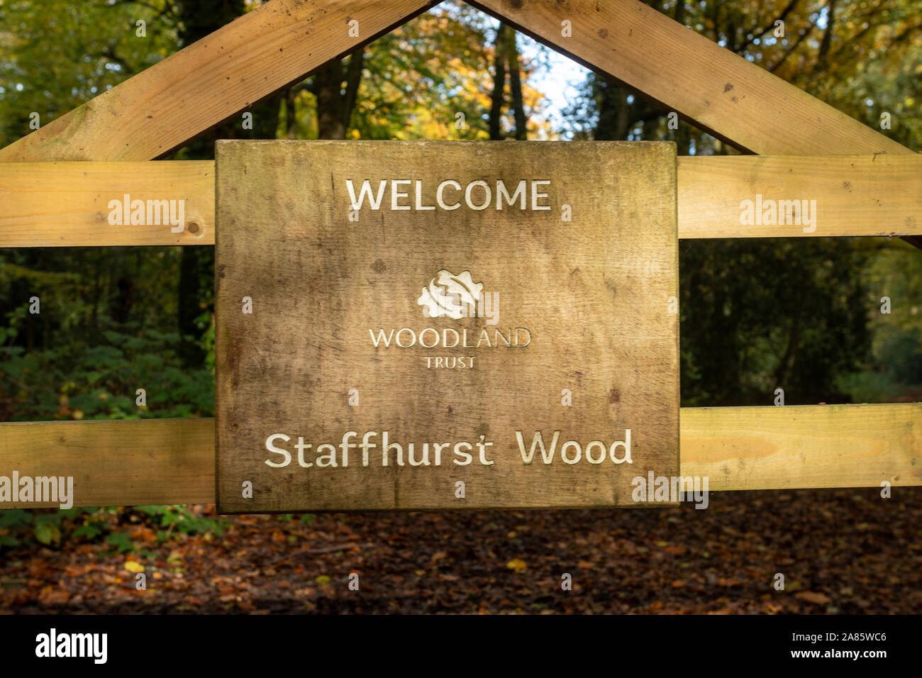 Segno di benvenuto del Woodland Trust Riserva Naturale Bosco Staffhurst (Staffhurst boschi) nel Surrey, Regno Unito Foto Stock