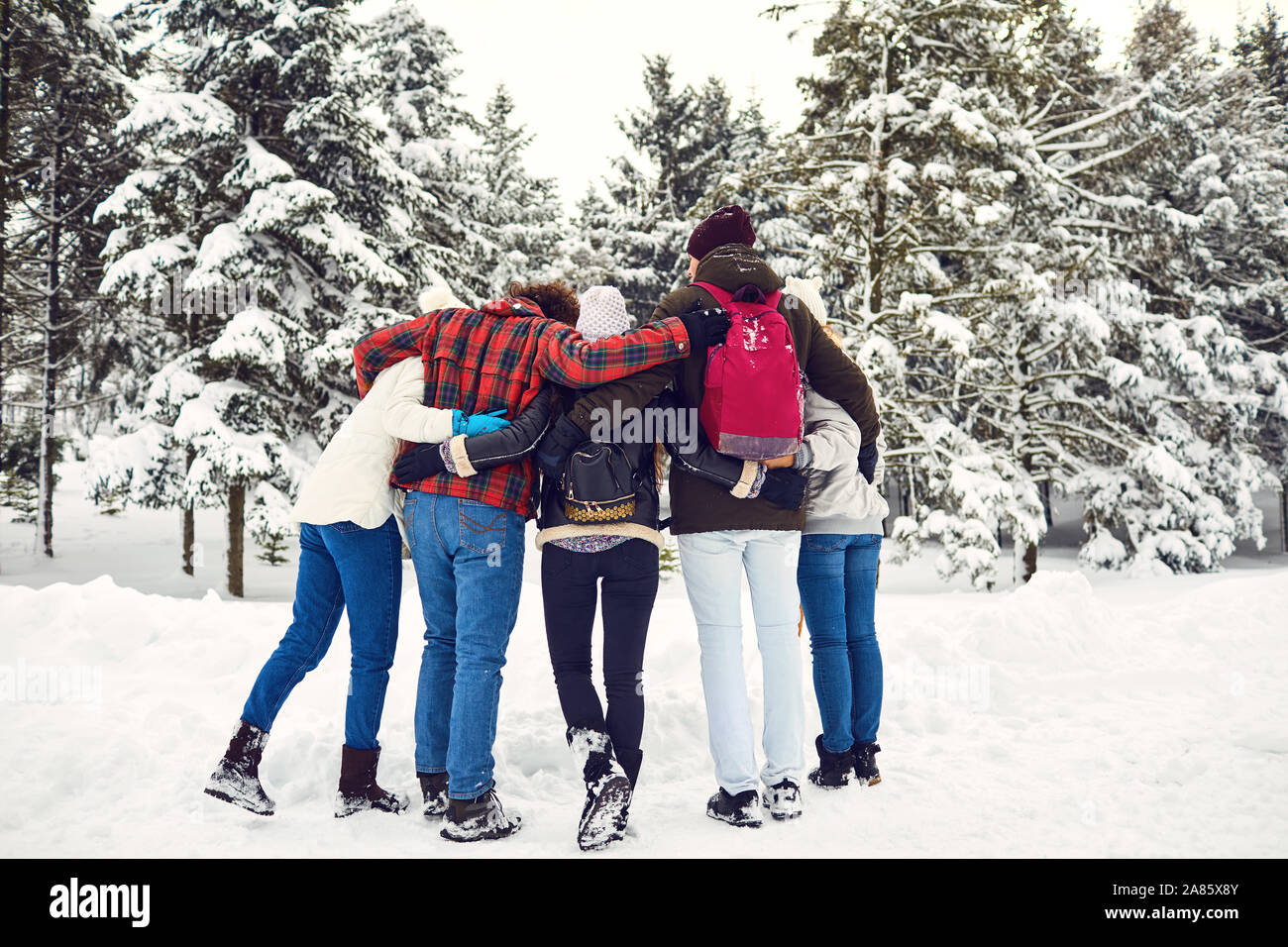 Gli amici nei boschi in inverno dal retro Foto Stock