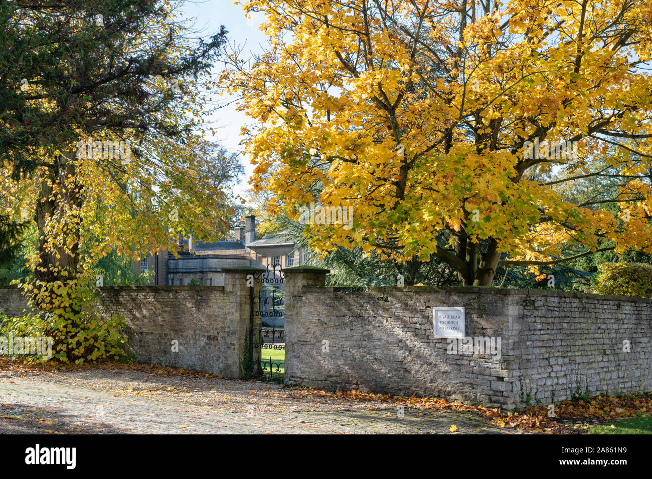 Autunno alberi lungo Church Lane in Aynho, Northamptonshire, Inghilterra Foto Stock