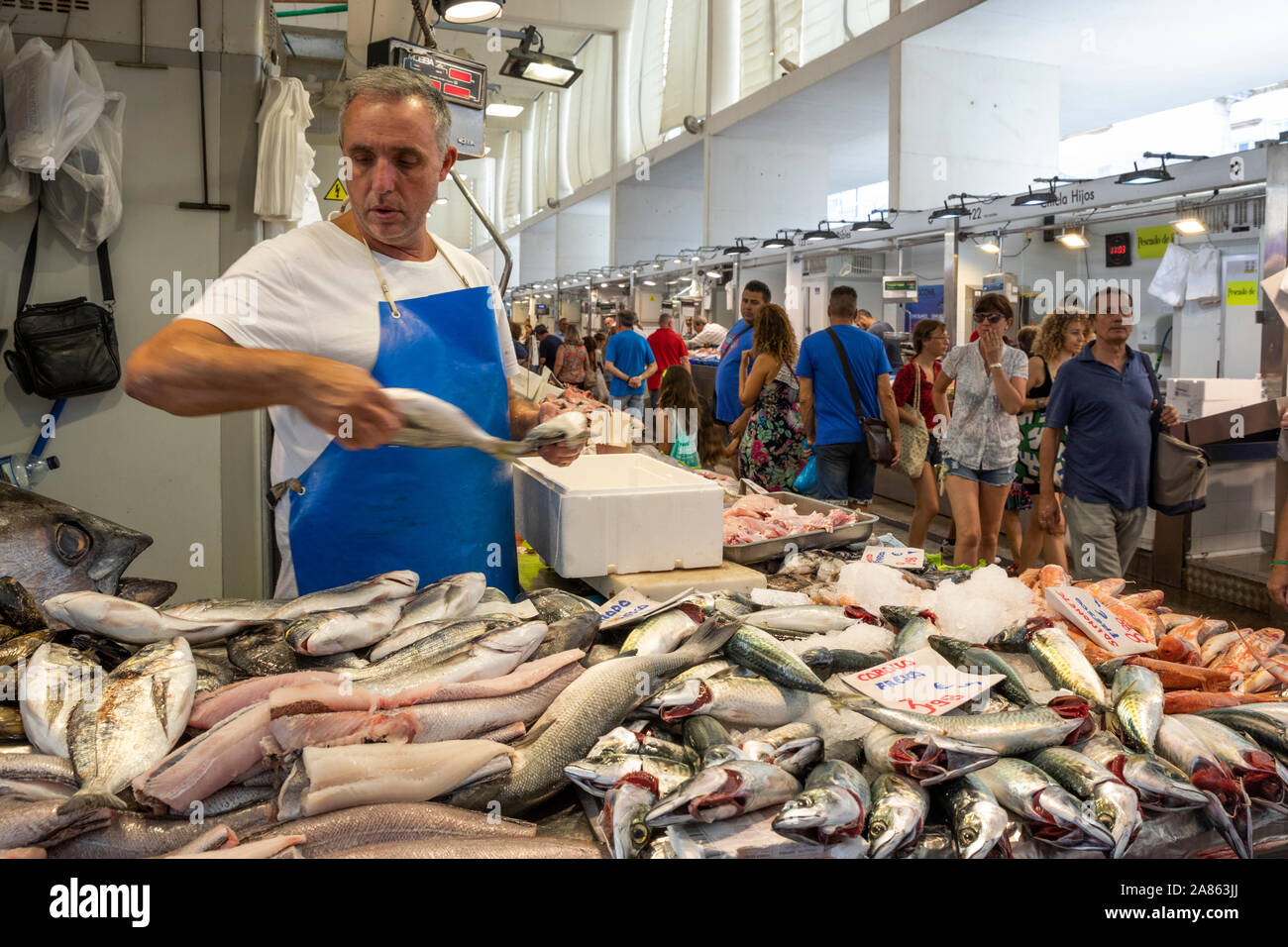 Mercato del Pesce all'interno del Mercado Central de Abastos, Cadice, Andalusia, Spagna, Europa Foto Stock