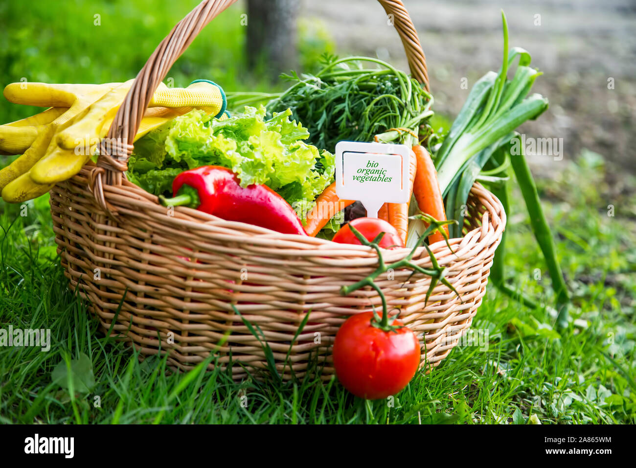 Bio verdure organiche cesto con etichetta, organico fresco cibo locale Foto Stock