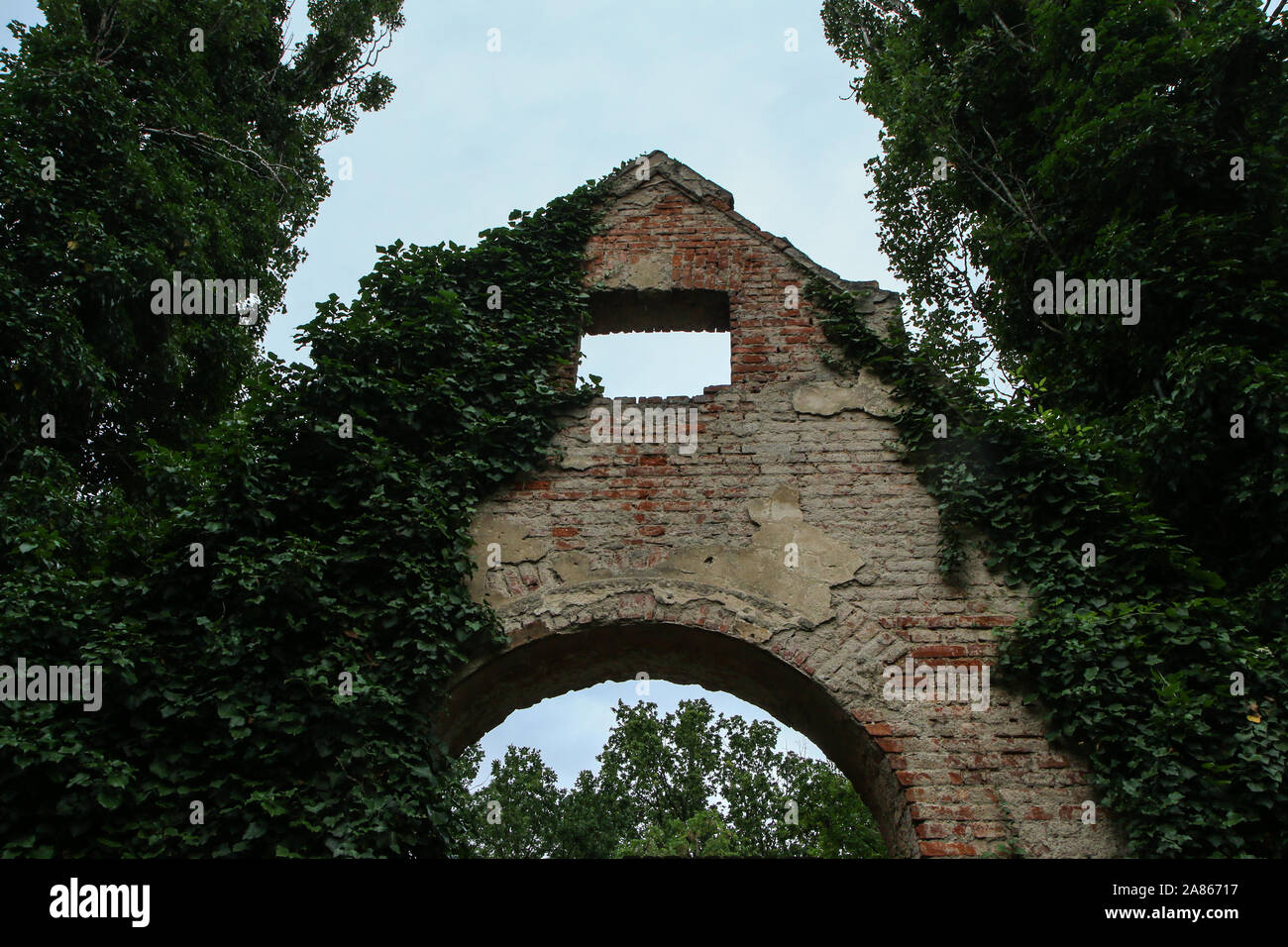 Il dettaglio di un cupo le rovine di una chiesa del cimitero. Solo la parte anteriore della parete ricoperta è visibile tra due alberi. Foto Stock