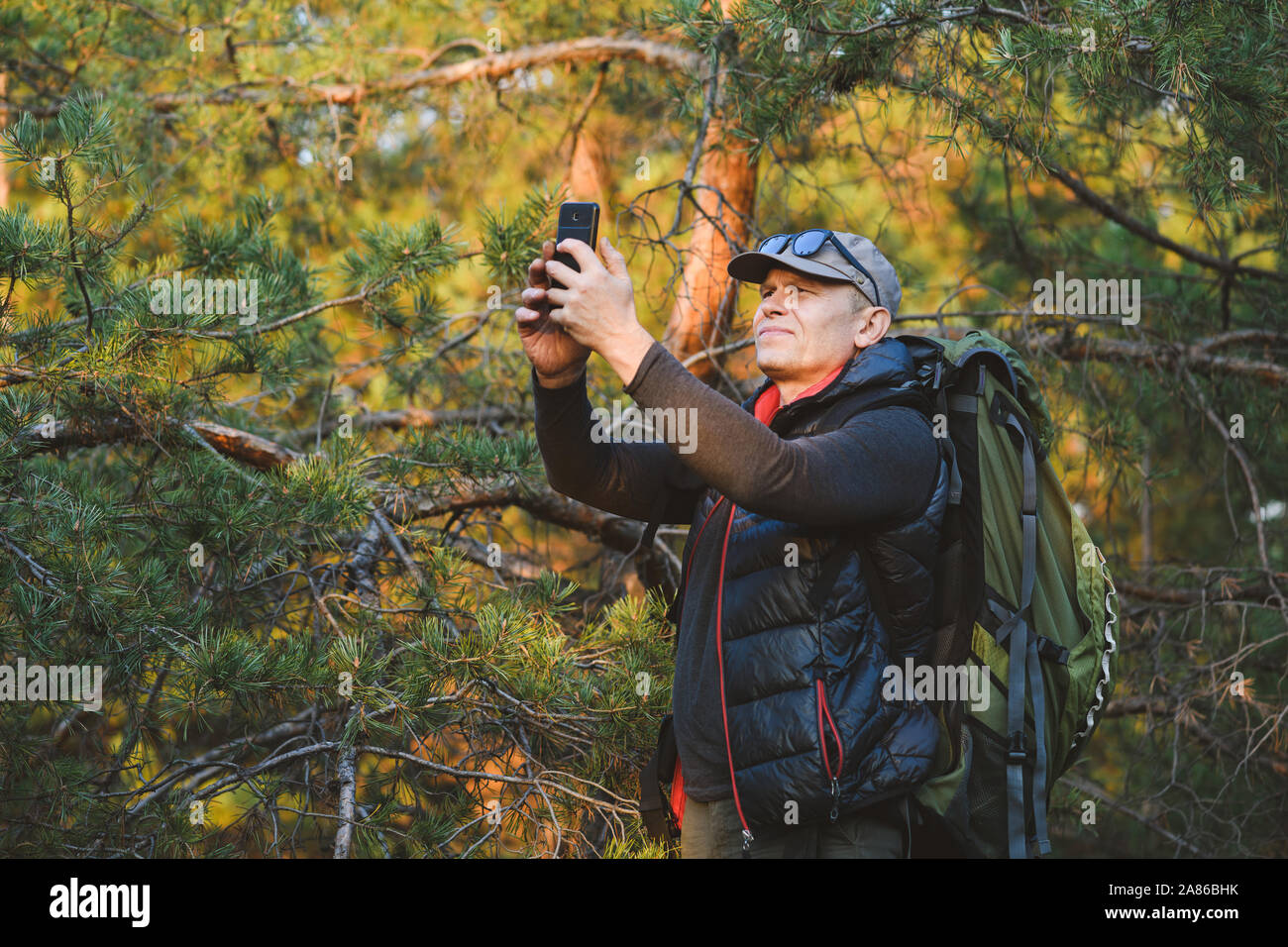 Escursionista cercando il suo segnale di GPS su uno smartphone, disorientati in lussureggianti boschi, cercando di trovare una via di uscita. Foto Stock
